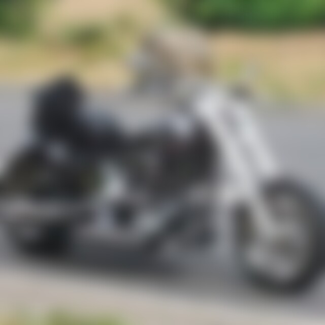 Softail (59) aus Oberhausen